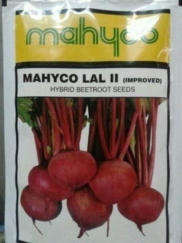 99% Pure Commonly Cultivated Beetroot Seed For Agriculture Use  Admixture (%): 2%