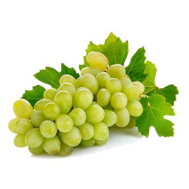 Juicy Rich Delicious Natural Taste Chemical Free Healthy Green Fresh Grapes