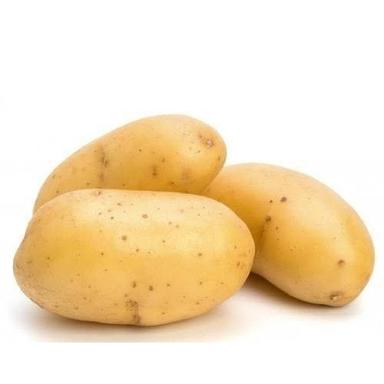 Maharashtra Pure Fresh Potato Best For: Daily Use