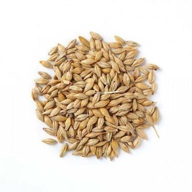 99% Pure Natural Edible And Hybrid Sun Drying Barley Seeds For Control Blood Pressure  Admixture (%): 1%