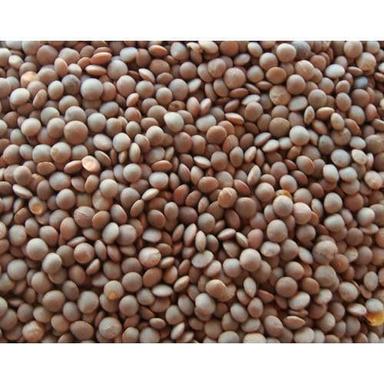 A Grade 100% Pure Indian Origin Nutrient Enriched Dried Splited Masoor Dal