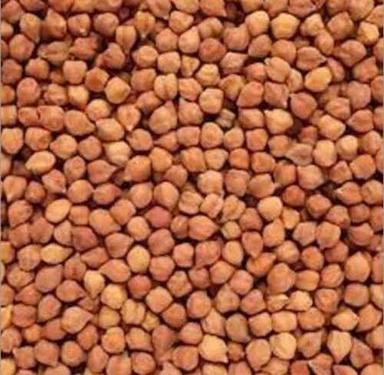 Hemp Seed A Grade Common Cultivated Indian Origin 99.9 Percent Purity Organic Brown Chana
