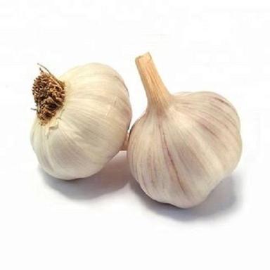 Wholesale Price Export Quality Farm Fresh Garlic