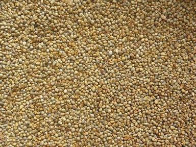 Organic And Natural Bajra Seed With 10% Moisture Ratio For Cooking Decoration Material: Beads