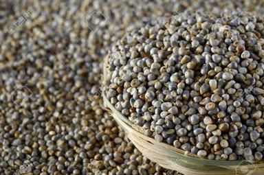 High In Protein Brown Sunrise Organic Bajra Seeds Admixture (%): 1%