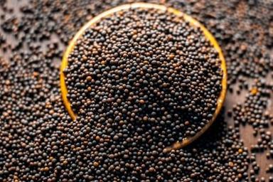 Black Mustard Seeds With 12 Months Shelf Life With 99.95% Purity