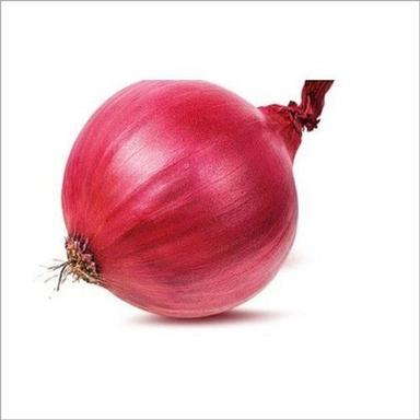  Fresh Raw Red Round Onion With 4-5% Moisture  Preserving Compound: Cool And Dry Place