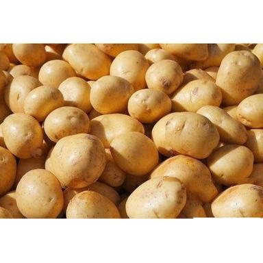 Raw Processing Instant Style Shapeless Low Calorie Content Fresh Potato  Moisture (%): 4.5 To 8.5%