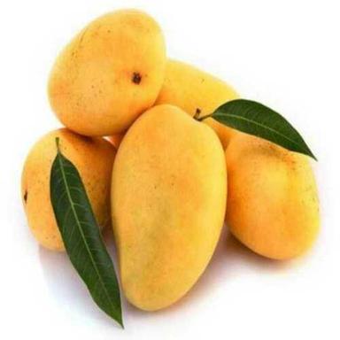 Igbt Module Seasonal Mild Sweet Fresh Badami Mango