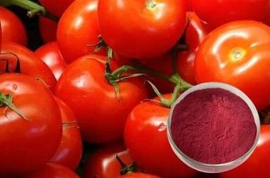 Lycopene 5%/10% Cas 502-65-8 Tomato Extract Natural Food Pigment