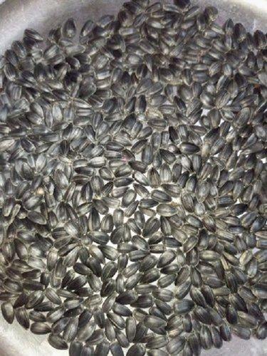 100% Organic Natural Dried Black Sunflower Seeds