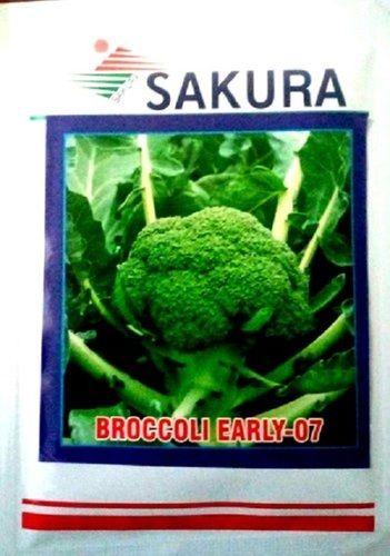 Pure Natural Green Broccoli Seeds For Farming