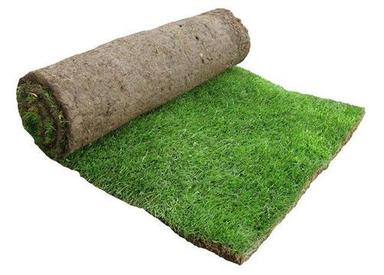 Easy To Clean 5 Meter Long Rectangular Soft And Plush Nylon Carpet Artificial Lawn Grass 