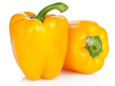 Organic And Natural Yellow Bell Pepper For Cooking Use Application: Pool