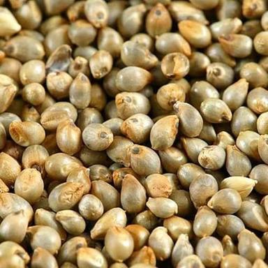 Bajra Seeds Admixture (%): 1%