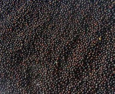 1-2 MM Selenium Rich Whole Dried Black Mustard Seeds For Cooking