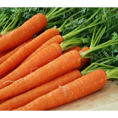 Maturity 100% High Fiber Healthy Natural Rich Taste Organic Fresh Carrot