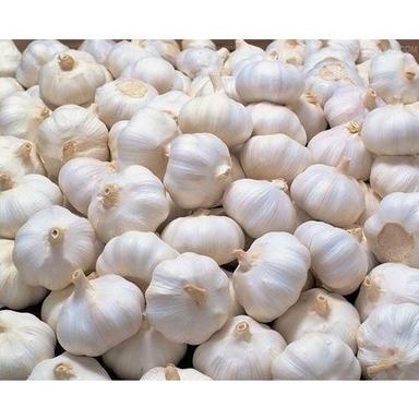 No Artificial Color Chemical Free Natural Rich Taste Organic Healthy White Fresh Garlic