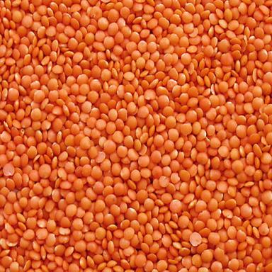 Easy to Cook Rich in Protein Healthy Natural Taste Dried Red Split Lentils