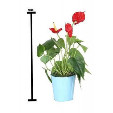  सजावट के लिए कृत्रिम 13 इंच लाल फूल एंथुरियम प्लांट ब्लेड सामग्री: लोहा 