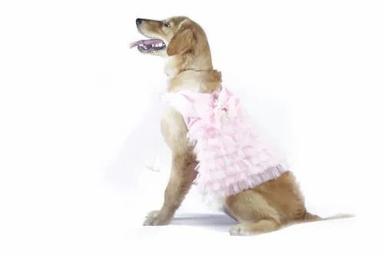 Branded Pet Clothes (bow-to-Barbie gown ) With Pinkinsh Color And Washable
