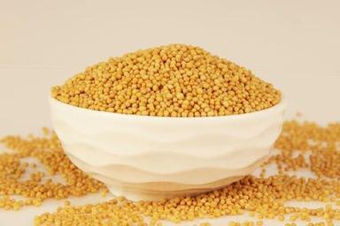 Healthy Natural Rich Fine Taste Chemical Free Yellow Mustard Seeds
