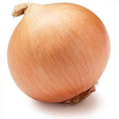 100% Organic Farm Fresh Round Shape Naturally Grown Brown Onion