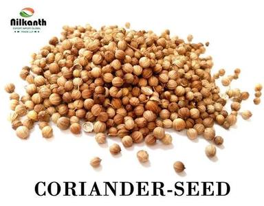 Impurity Free Dried Hybrid Coriander Seed