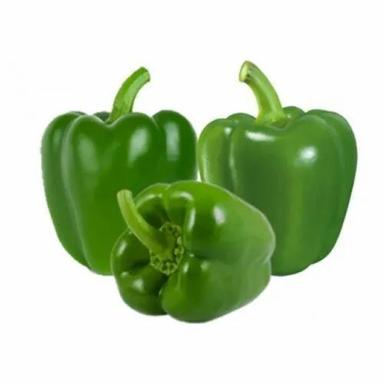 100% Fresh Green Capsicum With 3 Days Shelf Life And Packaging Size 10 Kg