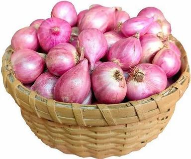 100% Fresh Shallots Onion For Vegetables With 3 Months Shelf Life