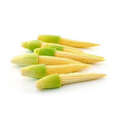 100 % Pure And Fresh Yellow Sweet Baby Corn Crop Year: 3 Months