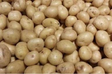 Round And Oval Raw Fresh Potato For Cooking Use Moisture (%): 75%