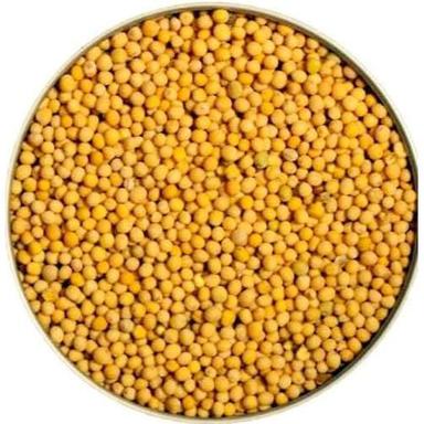 Chemical Free Healthy Natural Rich Fine Taste Yellow Mustard Seeds