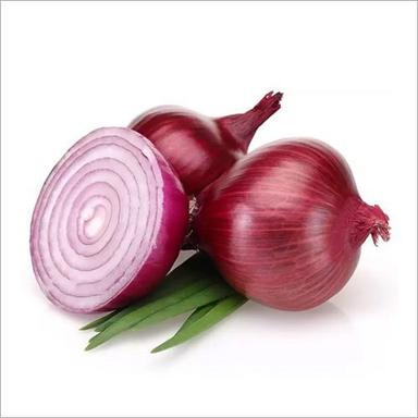 Enhance The Flavor Chemical Free Rich Natural Taste Organic Red Fresh Onion