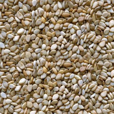 White A Grade Natural Herb Sesbania Seed