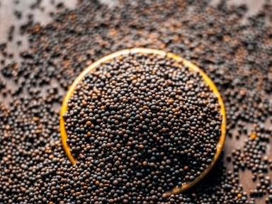 Natural Organic Dried Brown Mustard Seeds Use For Oil Extraction Grade: A
