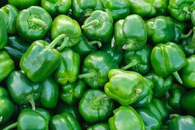 Complete Purity And Nutritious Green Capsicum For Cooking Use