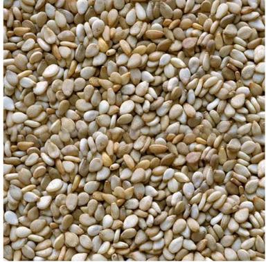 White Sesame Seed (Tilli) With Packaging Size 50 Kg And 1 Year Shelf Life Injection
