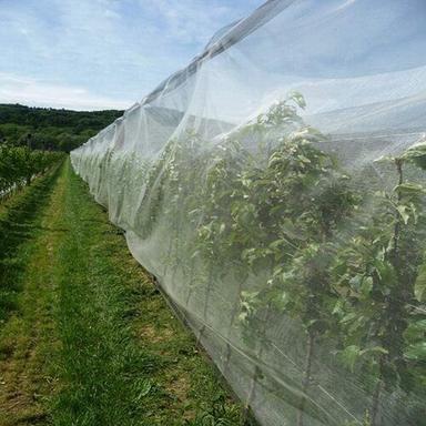 Anti-Insect And Uv Protection Plant Support Net Greenhouse Size: Large