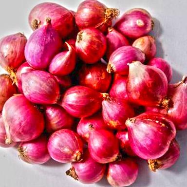 Reduce Cholesterol Levels And Anti Inflammatory Properties Small Red Onion