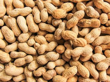 Commonly Cultivated Natural Raw Dried A Grade Peanuts Bust Size: Free Size Inch (In)