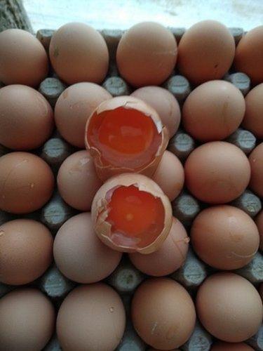 100% Cotton 15-27Oz Healthy Proteinous Chicken Laid Brown Eggs With Shelf Life 7-10 Days 