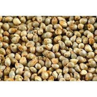 100% Pure Dried Green Pearl Millet