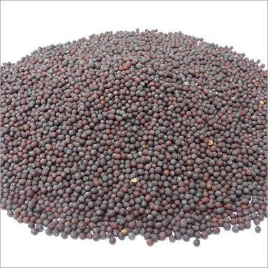 Natural Fresh High Nutrition Long Timespan Organic Black Mustard Seed Admixture (%): 5