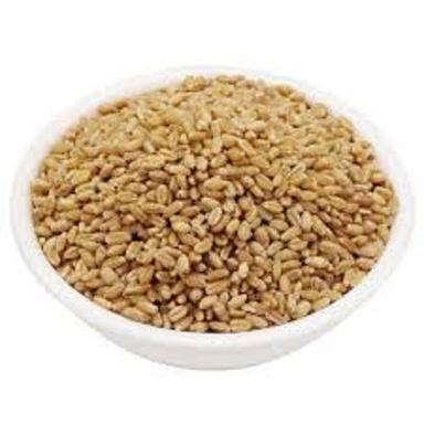 Silver 100% Pure A Grade Normal Cultivated 6 Month Shelf Life Dried Wheat 
