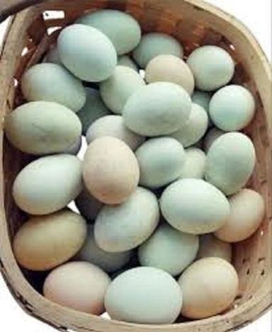 Duck Origin Medium Size Oval Shape White Fresh Eggs 