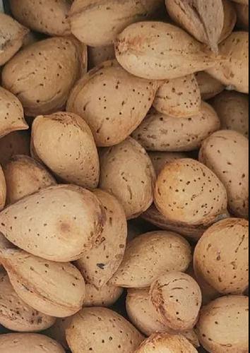 Brown 13% Moisture Content Dried Common Cultivation Whole Almond In-Shell