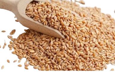 99.9% Pure Organic Wheat Grains With 13.5% Moisture And 1% Foreign