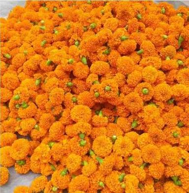 Appealing Look Pesticide Free Organically Harvested Natural Mari Gold Flower