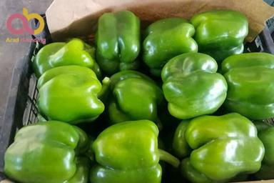 Bell Pepper And Sweet Pepper Domestic